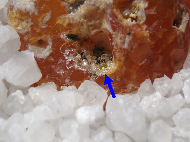 f:id:haworthii:20220406203807j:plain