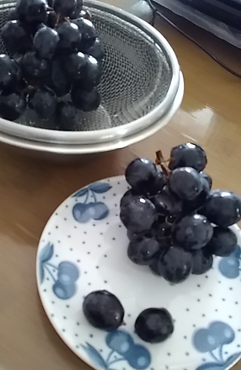皮ごと食べられる黒ぶどう