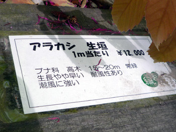 20110514000028