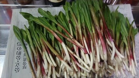 行者にんにく 大量
