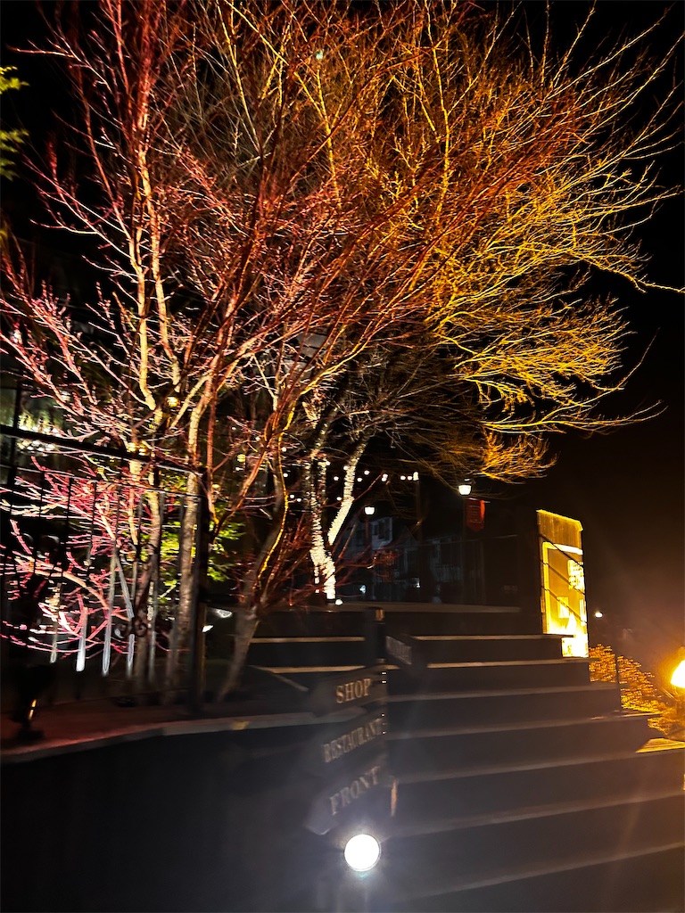 f:id:haya48sky:20240406233022j:image