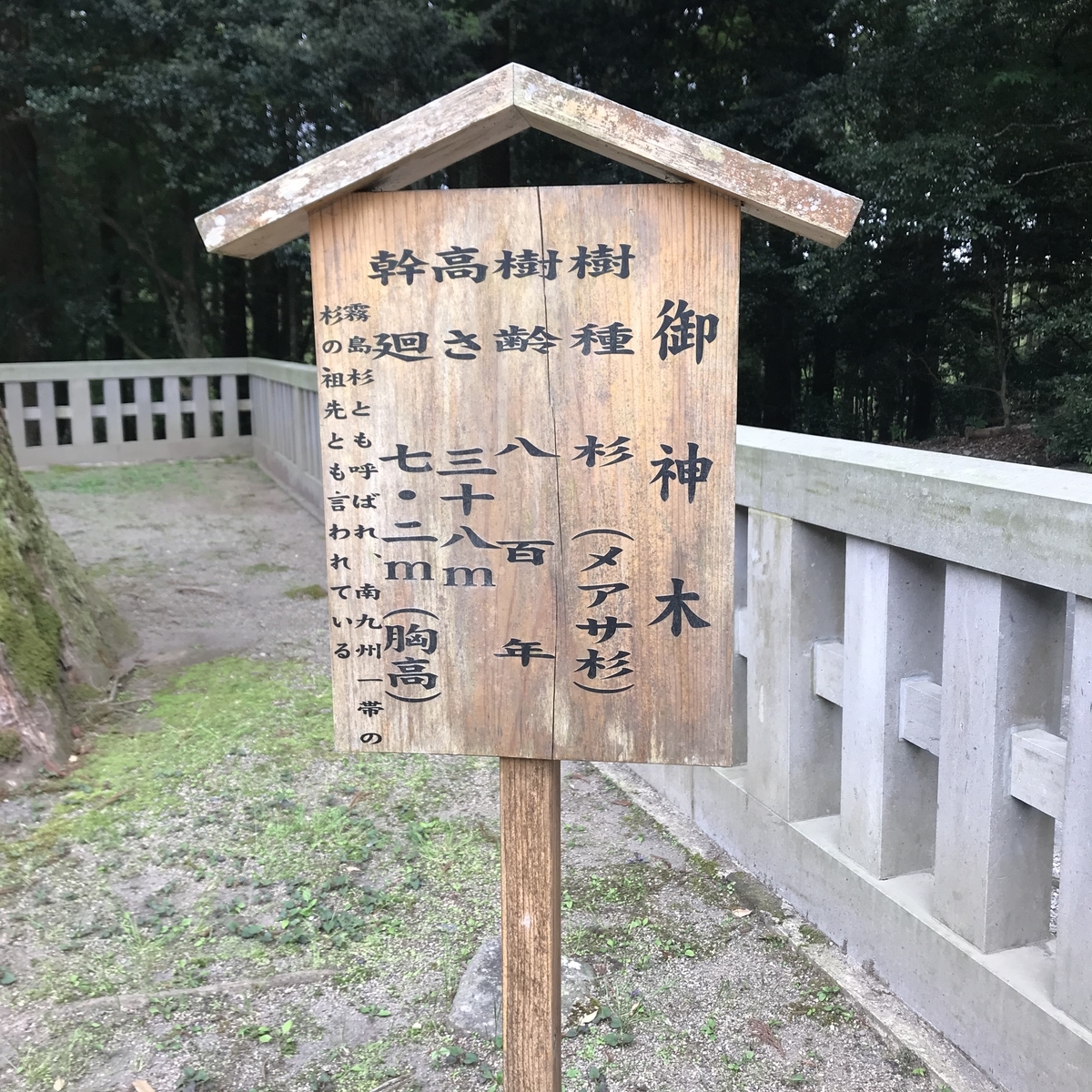 f:id:hayabusa1999:20200510192125j:plain f:id:hayabusa1999:20200510192125j:plain