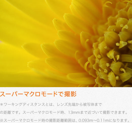 f:id:hayabusacoffee:20190212132038j:plain