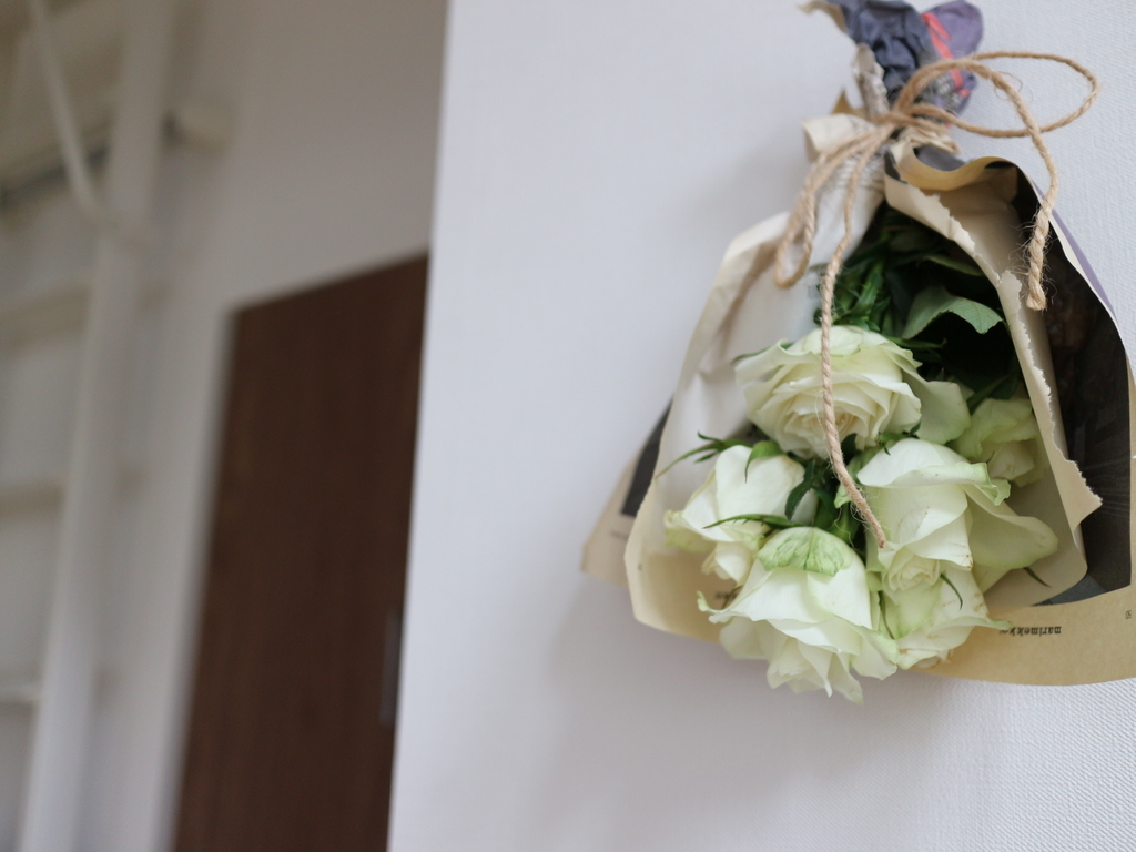 f:id:hayabusacoffee:20190213165339j:plain f:id:hayabusacoffee:20190213165339j:plain