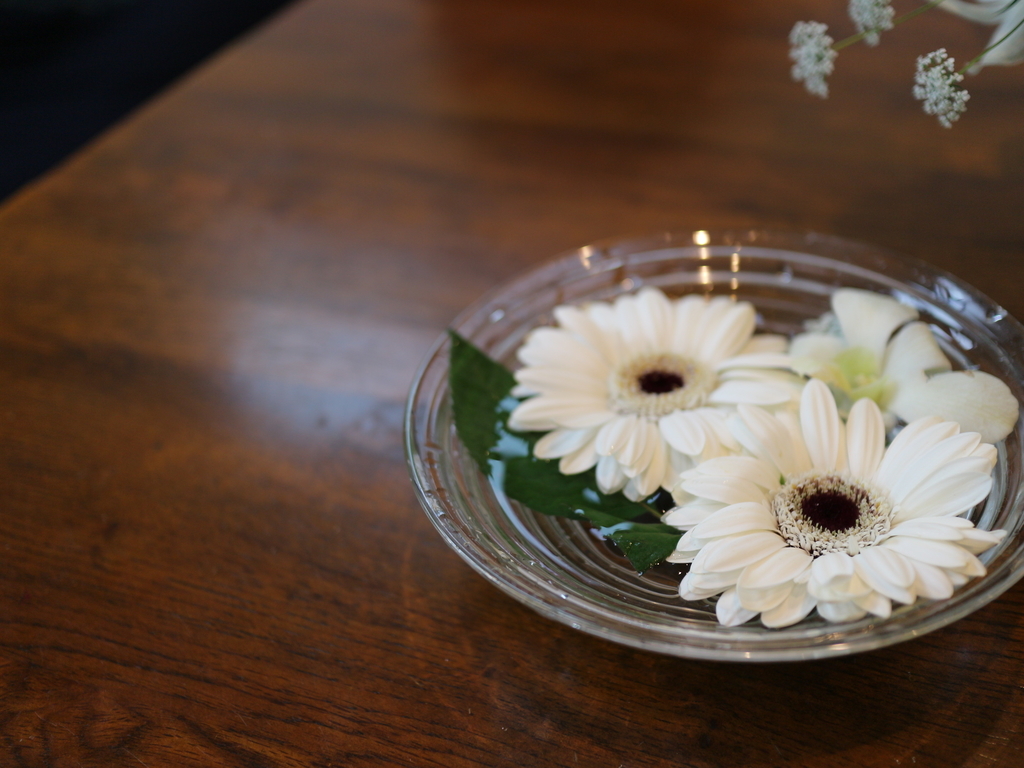 f:id:hayabusacoffee:20190213170045j:plain f:id:hayabusacoffee:20190213170045j:plain