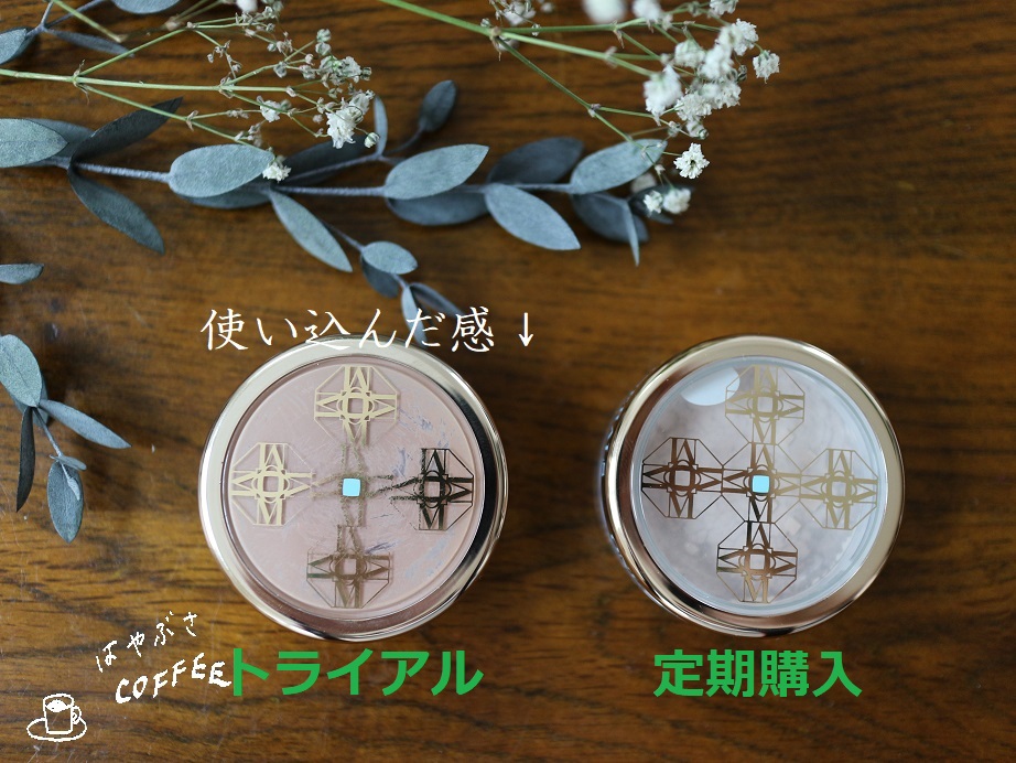 f:id:hayabusacoffee:20190221084535j:plain