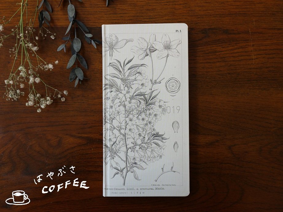 f:id:hayabusacoffee:20190315143820j:plain