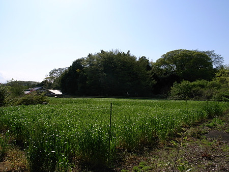 f:id:hayakar:20090415145804j:image