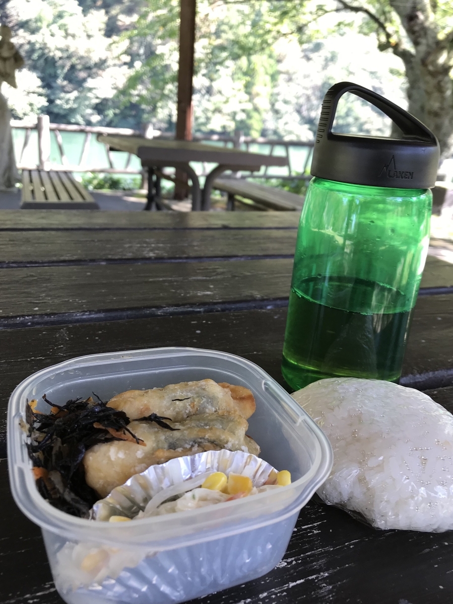 富山 田舎住みの私が伝えるお金を使わない暇つぶし5選 社会不適合者ハヤカワの現実回避記録