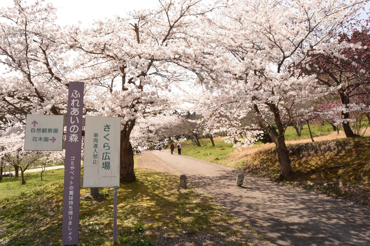 f:id:hayakawasetsuyaku:20220416225441j:plain