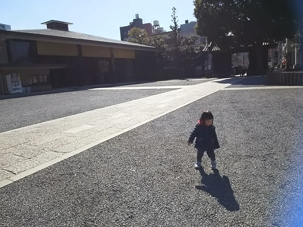 f:id:hayakuoide:20180221175133j:plain f:id:hayakuoide:20180221175133j:plain