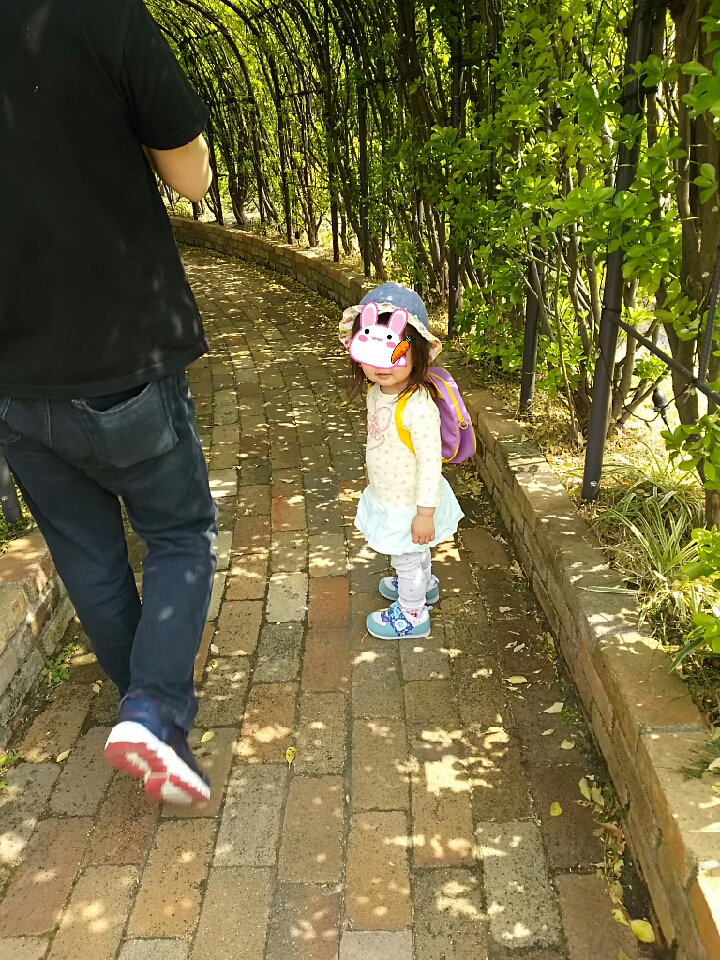 f:id:hayakuoide:20180501080710j:plain f:id:hayakuoide:20180501080710j:plain