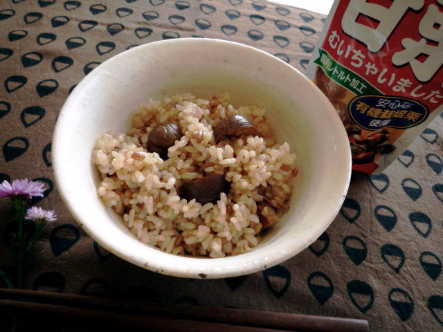 f:id:hayama-slowlife:20081010093408j:image:w450
