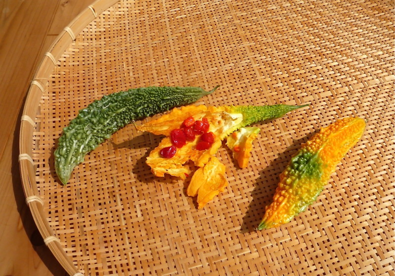 f:id:hayama-slowlife:20090928103625j:image:w450 f:id:hayama-slowlife:20090928103625j:image:w450