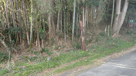 f:id:hayame2:20200130031226j:plain
