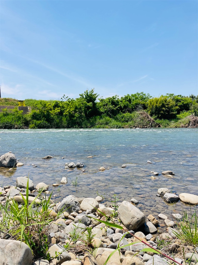 f:id:hayamo:20231214204431j:image