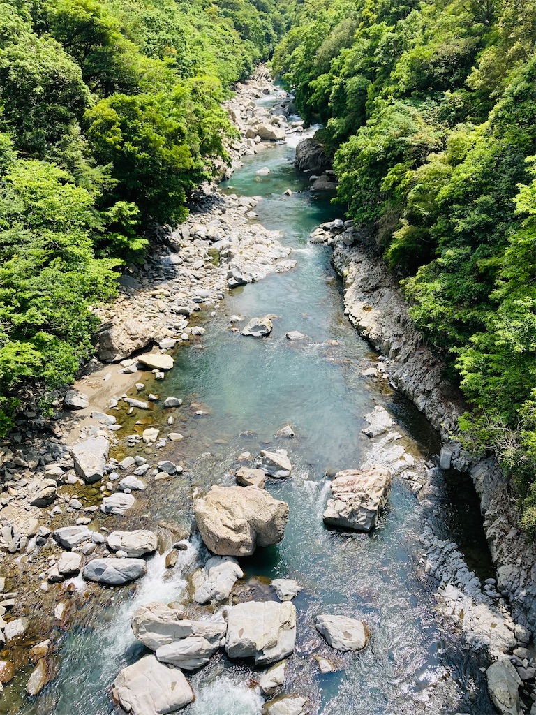 f:id:hayamo:20231214204435j:image