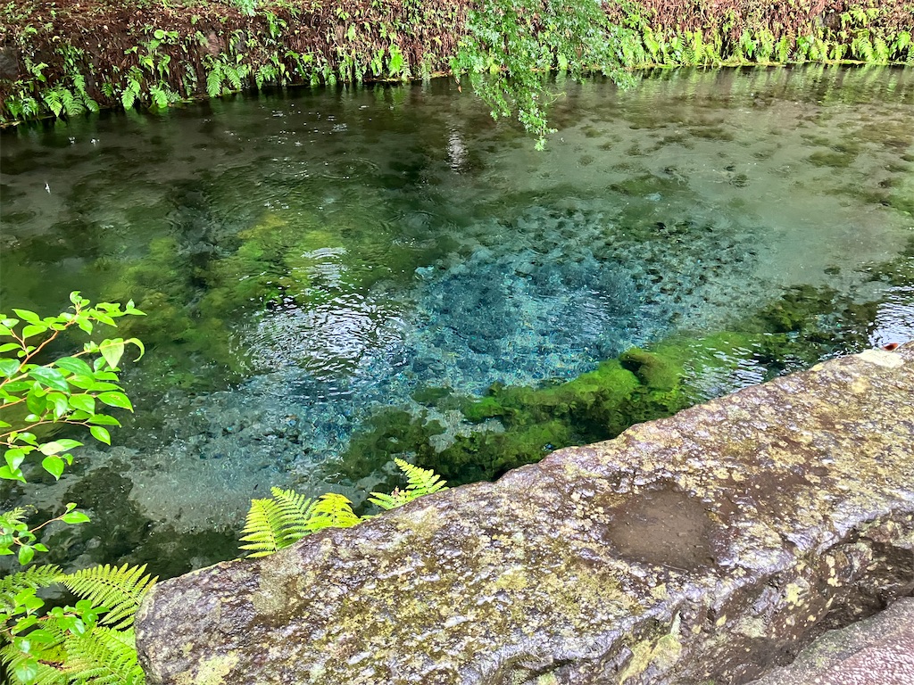 f:id:hayamo:20231214204438j:image