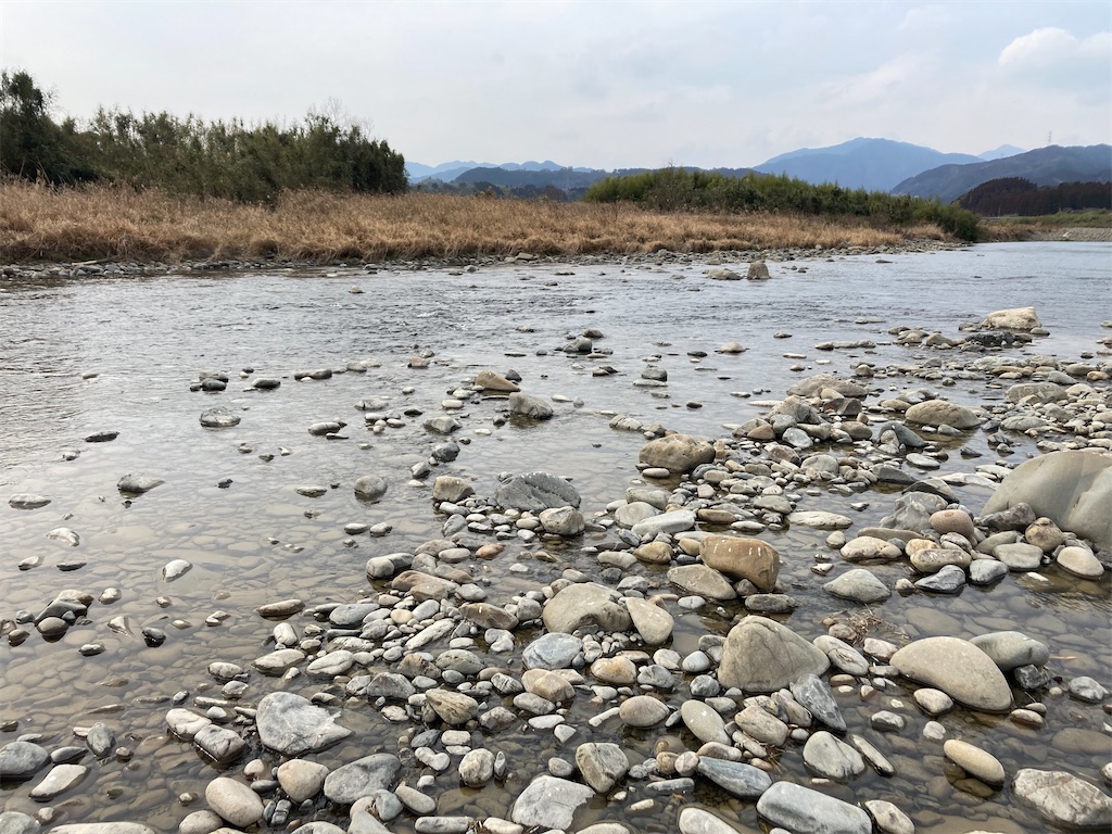 f:id:hayamo:20231214204442j:image