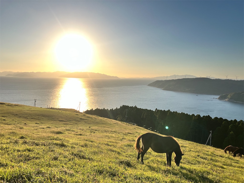 f:id:hayamo:20231214204450j:image