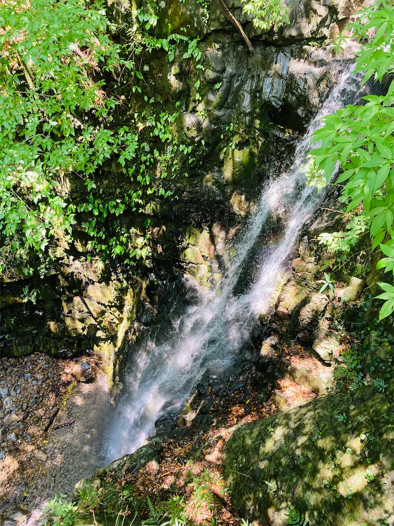 f:id:hayamo:20231214204500j:image