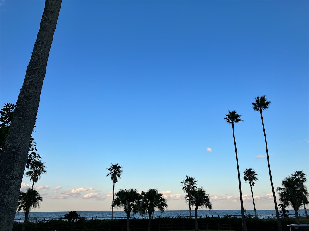 f:id:hayamo:20231214204533j:image