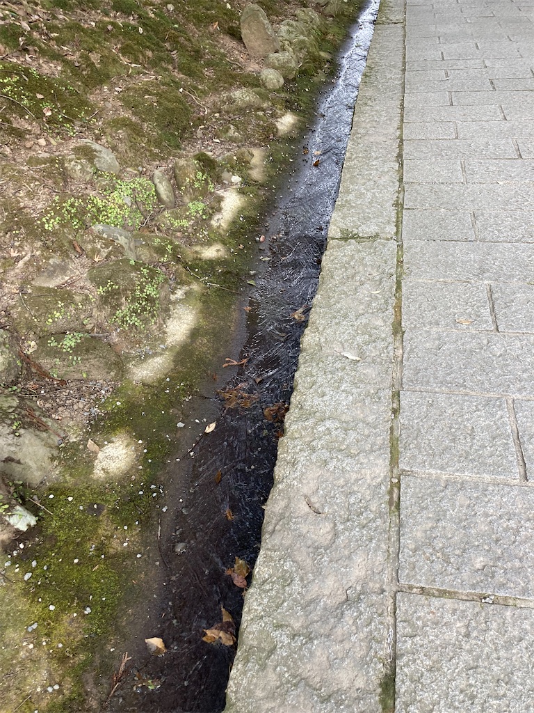 f:id:hayamo:20231214204536j:image