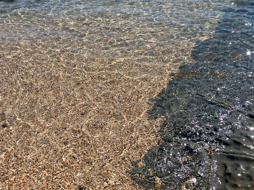 f:id:hayamo:20231214204542j:image