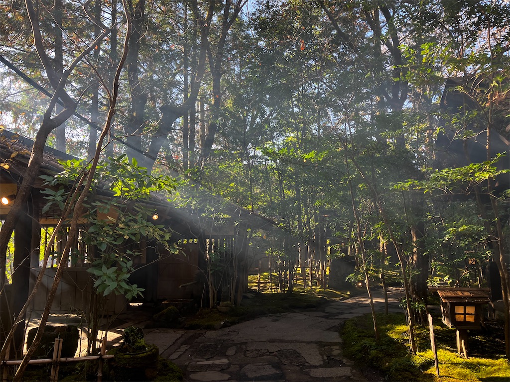 f:id:hayamo:20231214204549j:image