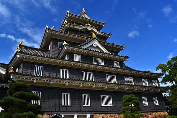 f:id:hayanasu:20191005022159j:plain