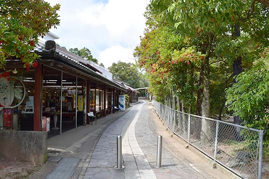 f:id:hayanasu:20191029010920j:plain