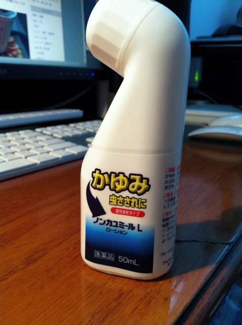 f:id:hayap24bit:20110619104552j:image