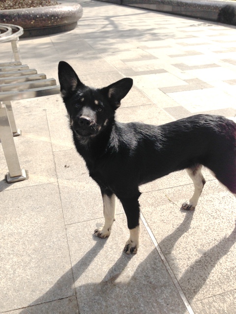 f:id:hayap24bit:20131126112123j:image