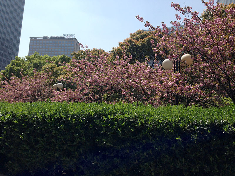 f:id:hayap24bit:20140405211140j:image