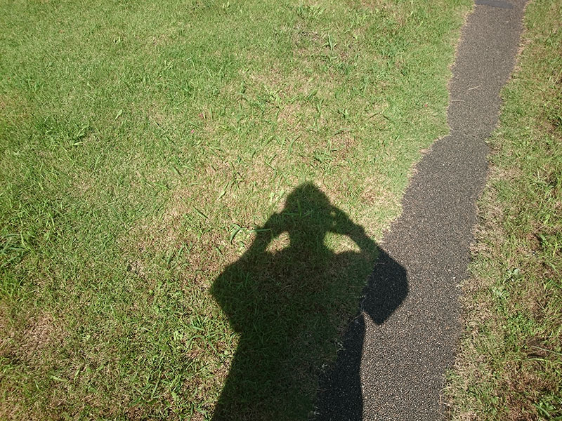 f:id:hayap24bit:20150904113546j:image