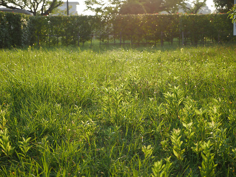 f:id:hayap24bit:20150904195224j:image