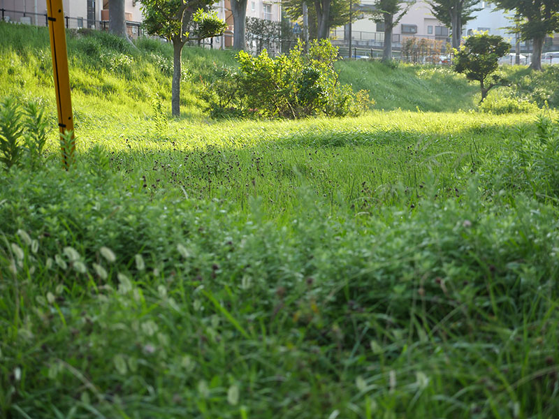 f:id:hayap24bit:20150904195226j:image