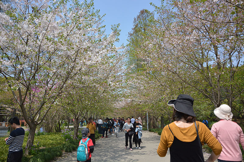 f:id:hayap24bit:20180402223408j:image f:id:hayap24bit:20180402223408j:image
