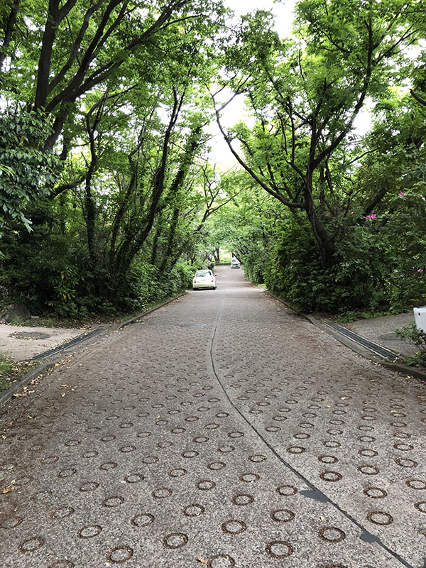 f:id:hayap24bit:20180501180313j:image