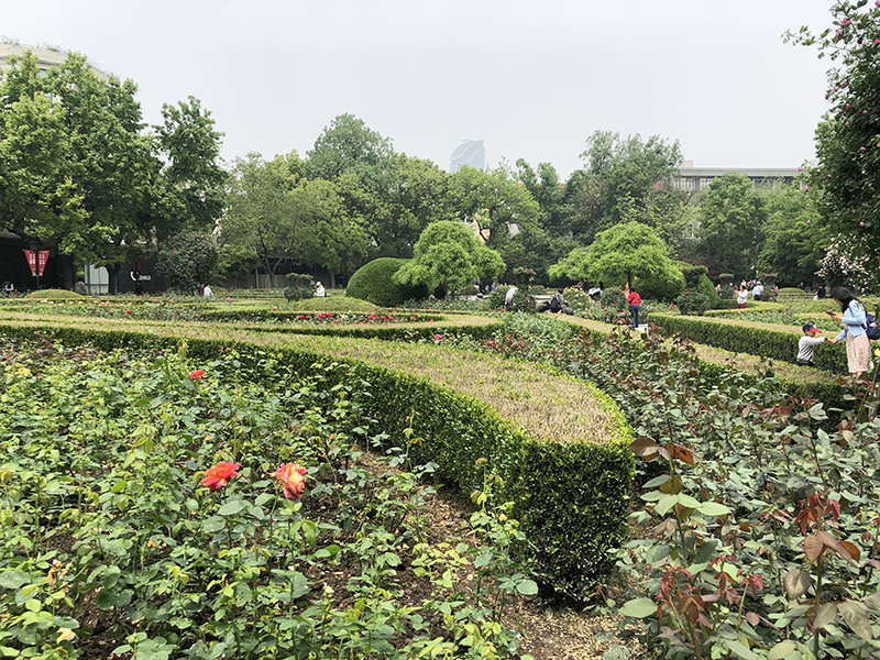 f:id:hayap24bit:20190502151011j:plain