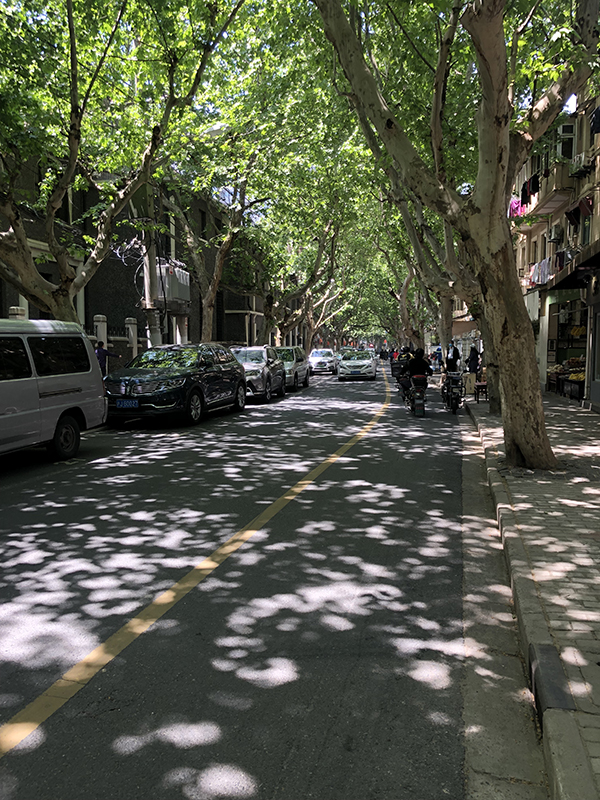 f:id:hayap24bit:20190503001653j:plain