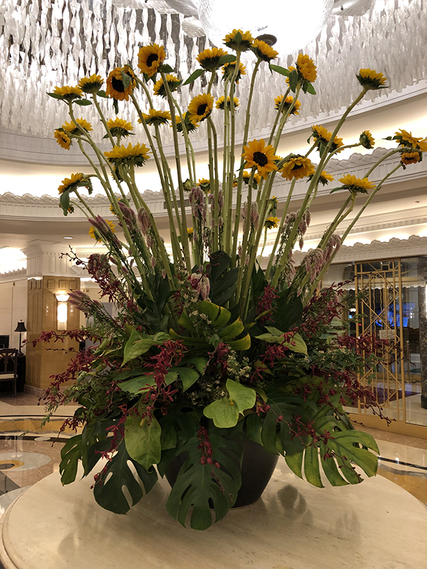 f:id:hayap24bit:20190505005652j:plain