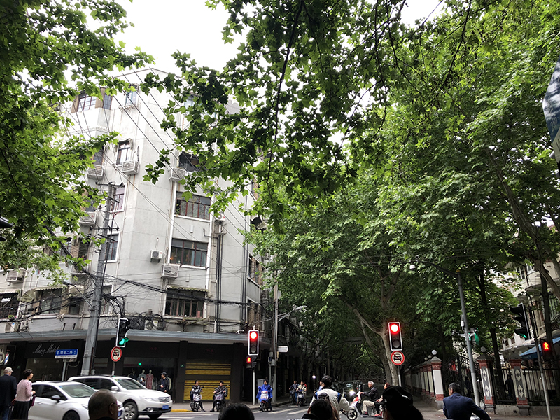f:id:hayap24bit:20190516171918j:plain