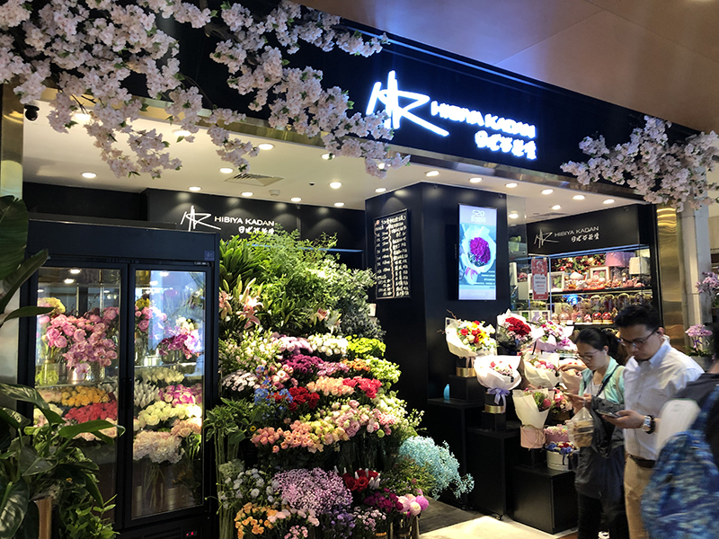 f:id:hayap24bit:20190518002601j:plain