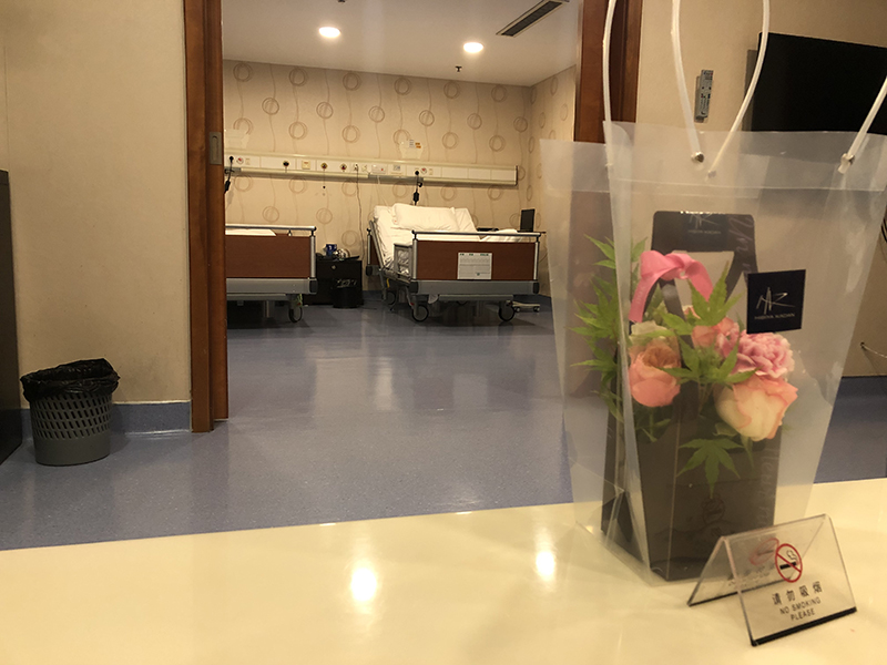 f:id:hayap24bit:20190518003045j:plain