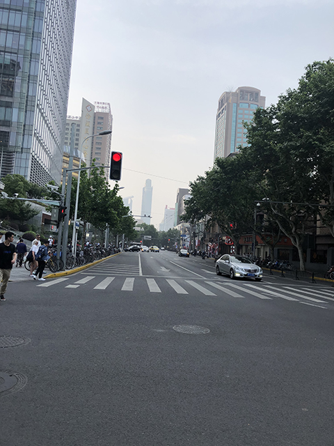f:id:hayap24bit:20190520135213j:plain f:id:hayap24bit:20190520135213j:plain