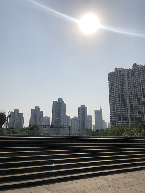 f:id:hayap24bit:20190523230834j:plain