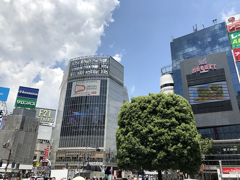 f:id:hayap24bit:20190531083635j:plain