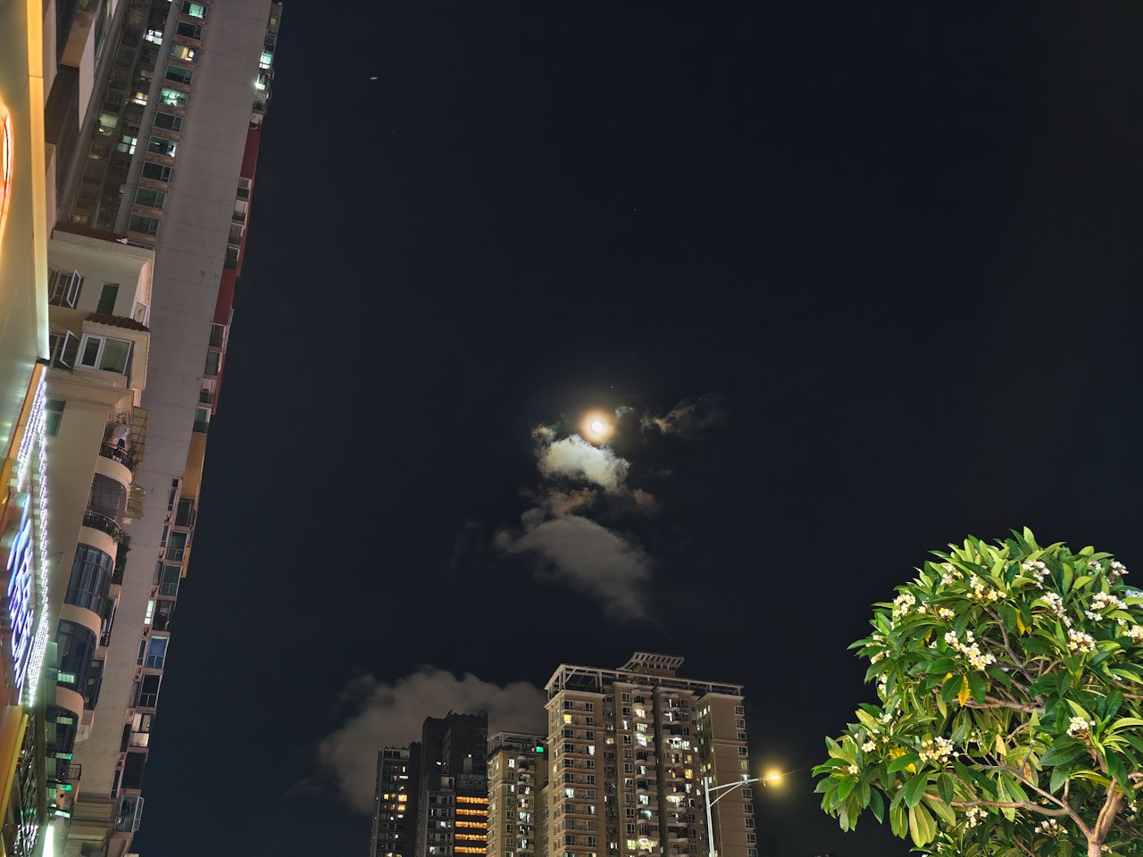 f:id:hayap24bit:20250611112209j:image