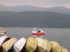 f:id:hayapi:20080720140611j:image